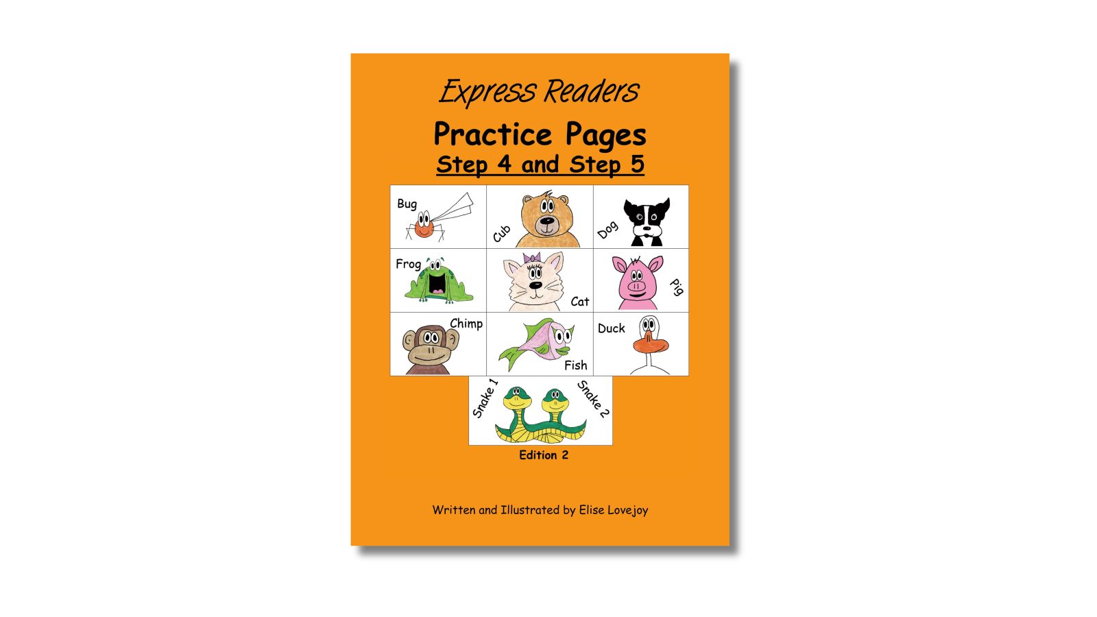 Practice Pages Ed.2, <br>Steps 4-5