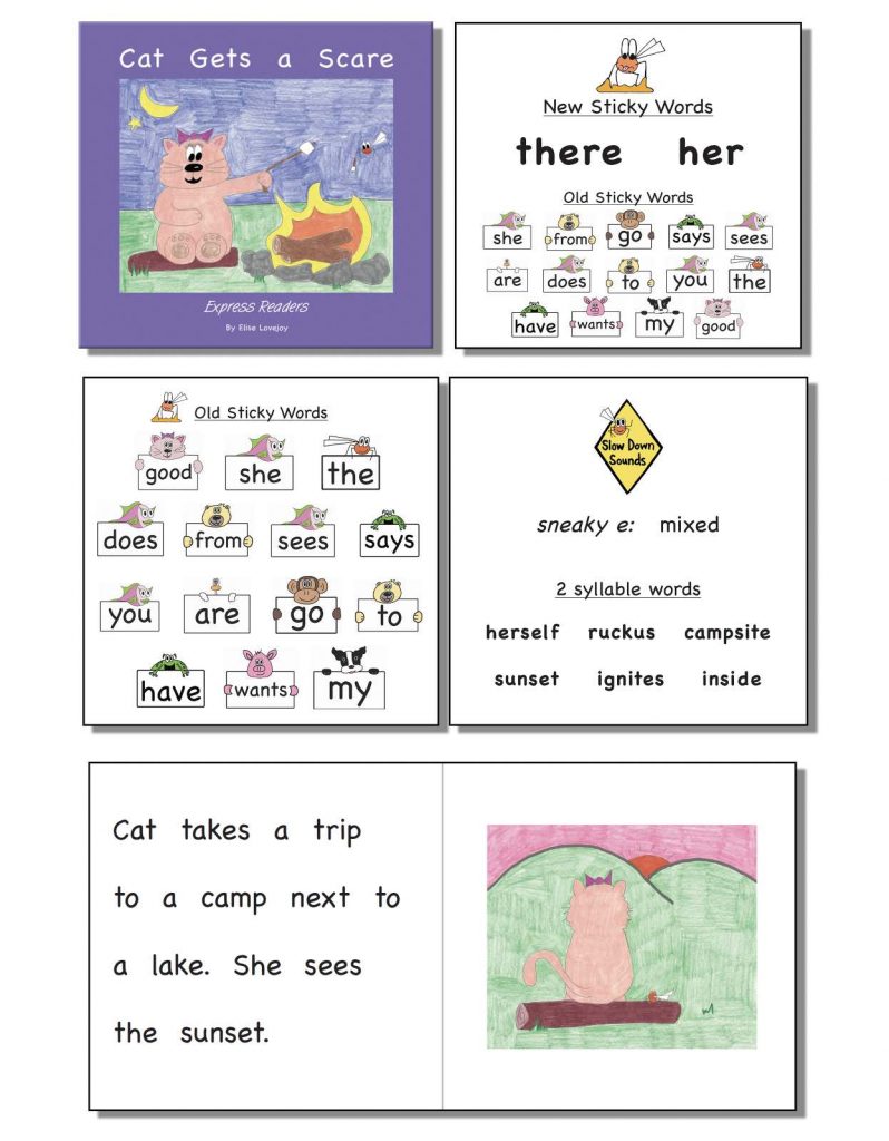 Express Readers 2nd Grade Decodable Books Class Set-174 Book - Express ...