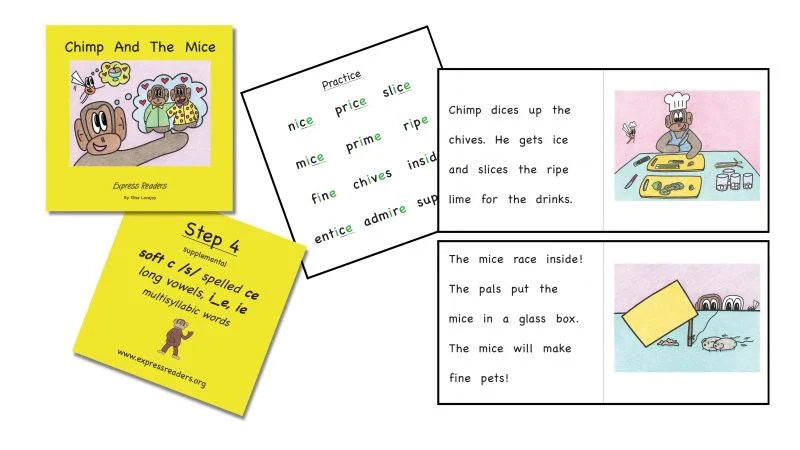 Decodable Book Supplemental Set – Step 4 – 7 Books
