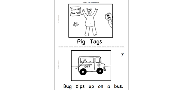 Pig Tags